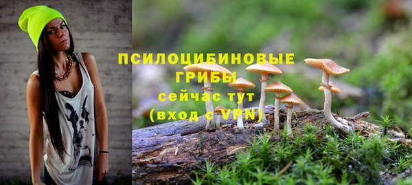 бошки Остров