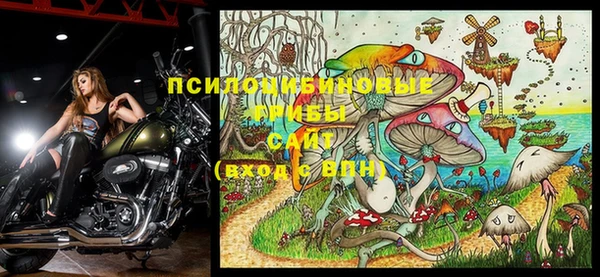 марки lsd Осинники