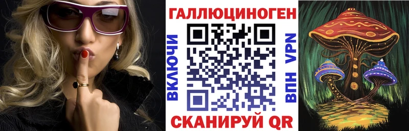 Псилоцибиновые грибы MAGIC MUSHROOMS даркнет клад Красный Кут